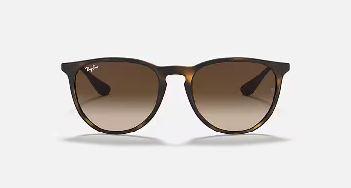 RayBan Erika Sunglasses