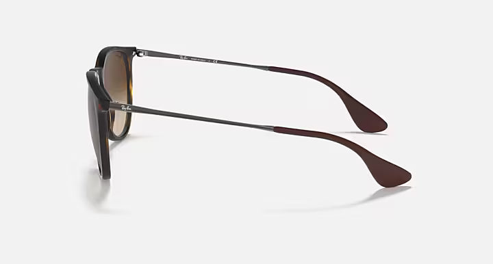 RayBan Erika Sunglasses