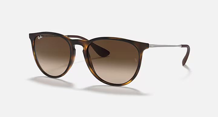 RayBan Erika Sunglasses