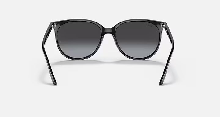 RayBan Rb4378 Sunglasses