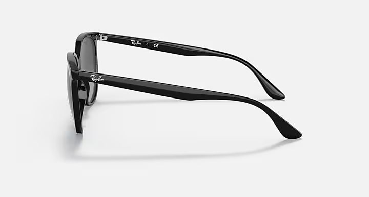 RayBan Rb4378 Sunglasses