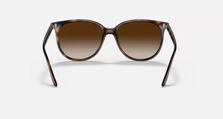 RayBan Rb4378 Sunglasses
