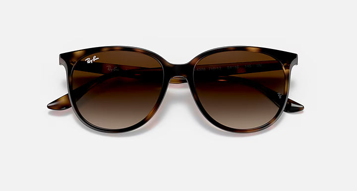 RayBan Rb4378 Sunglasses