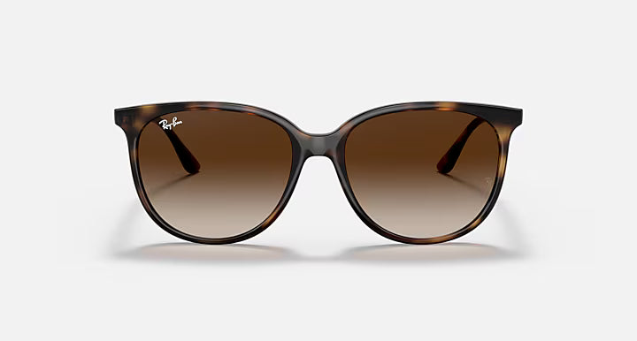 RayBan Rb4378 Sunglasses