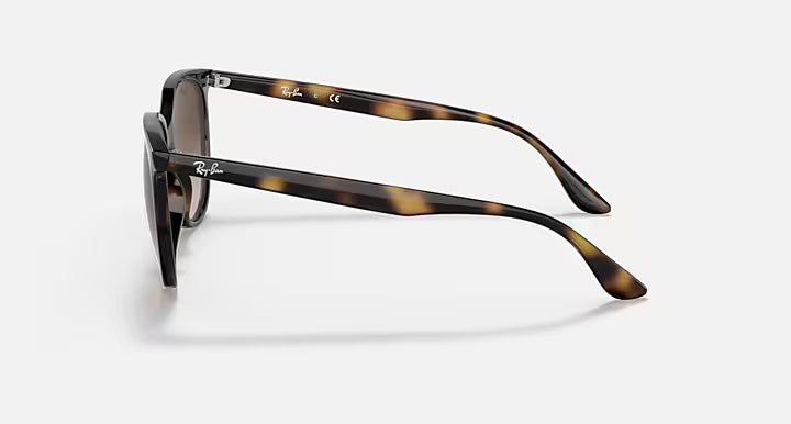 RayBan Rb4378 Sunglasses