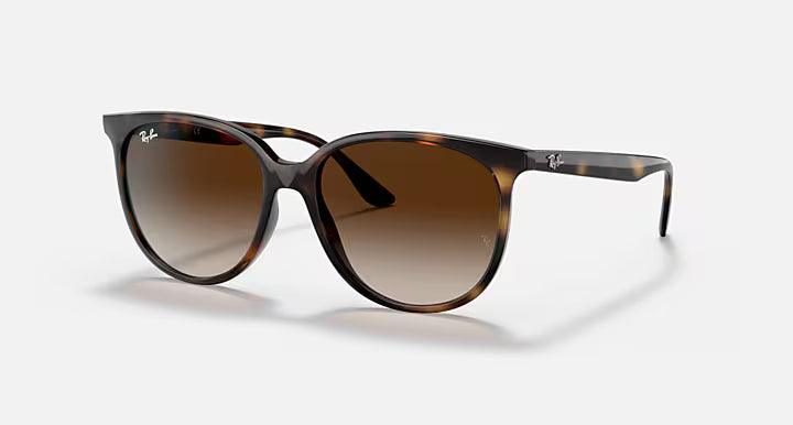 RayBan Rb4378 Sunglasses