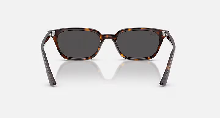 Ray-Ban Zaya Sunglasses - Polished Havana - Polished Havana/Dark Grey 3