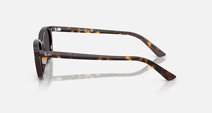 Ray-Ban Zaya Sunglasses - Polished Havana - Polished Havana/Dark Grey 2
