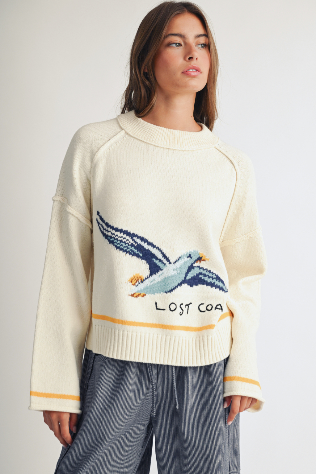 AEMI + CO - Coastal Seagull Graphic Sweater