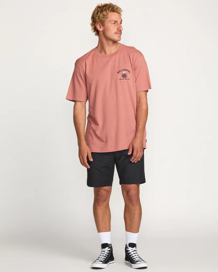 Billabong Men’s A/Div Agave Tee - Dusty Rose 5