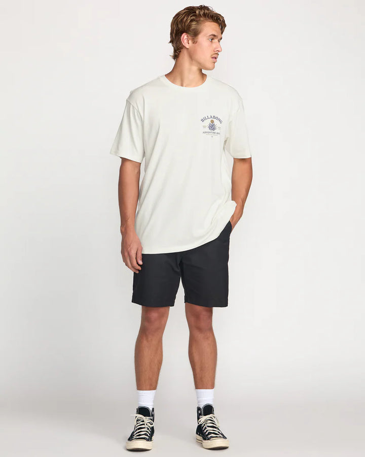 Billabong Men’s A/Div Agave Tee - Off White 5