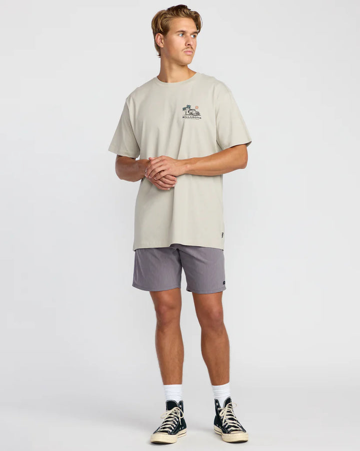 Billabong Men’s State Park A/Div Tee - Chino 3