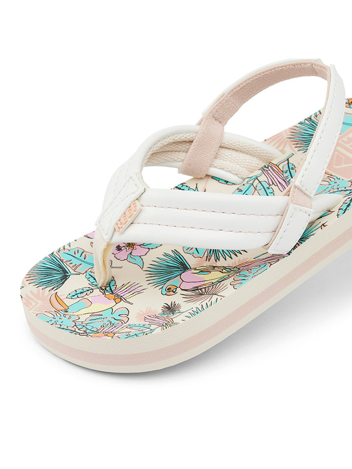 Reef Kids&