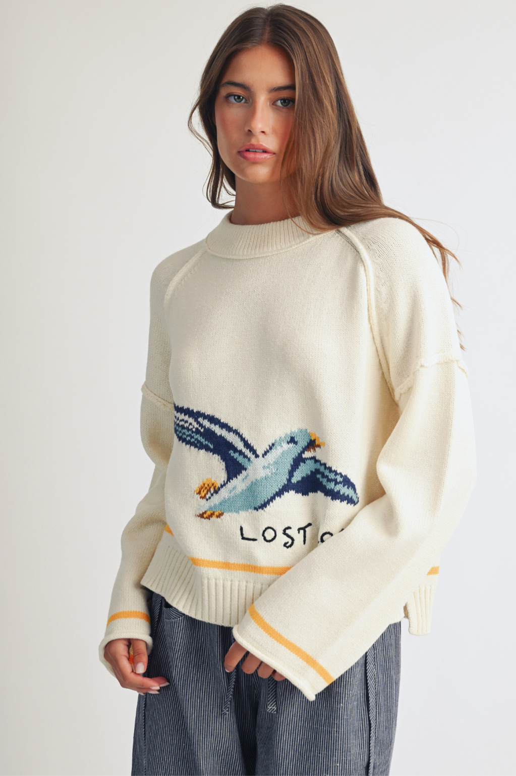 AEMI + CO - Coastal Seagull Graphic Sweater