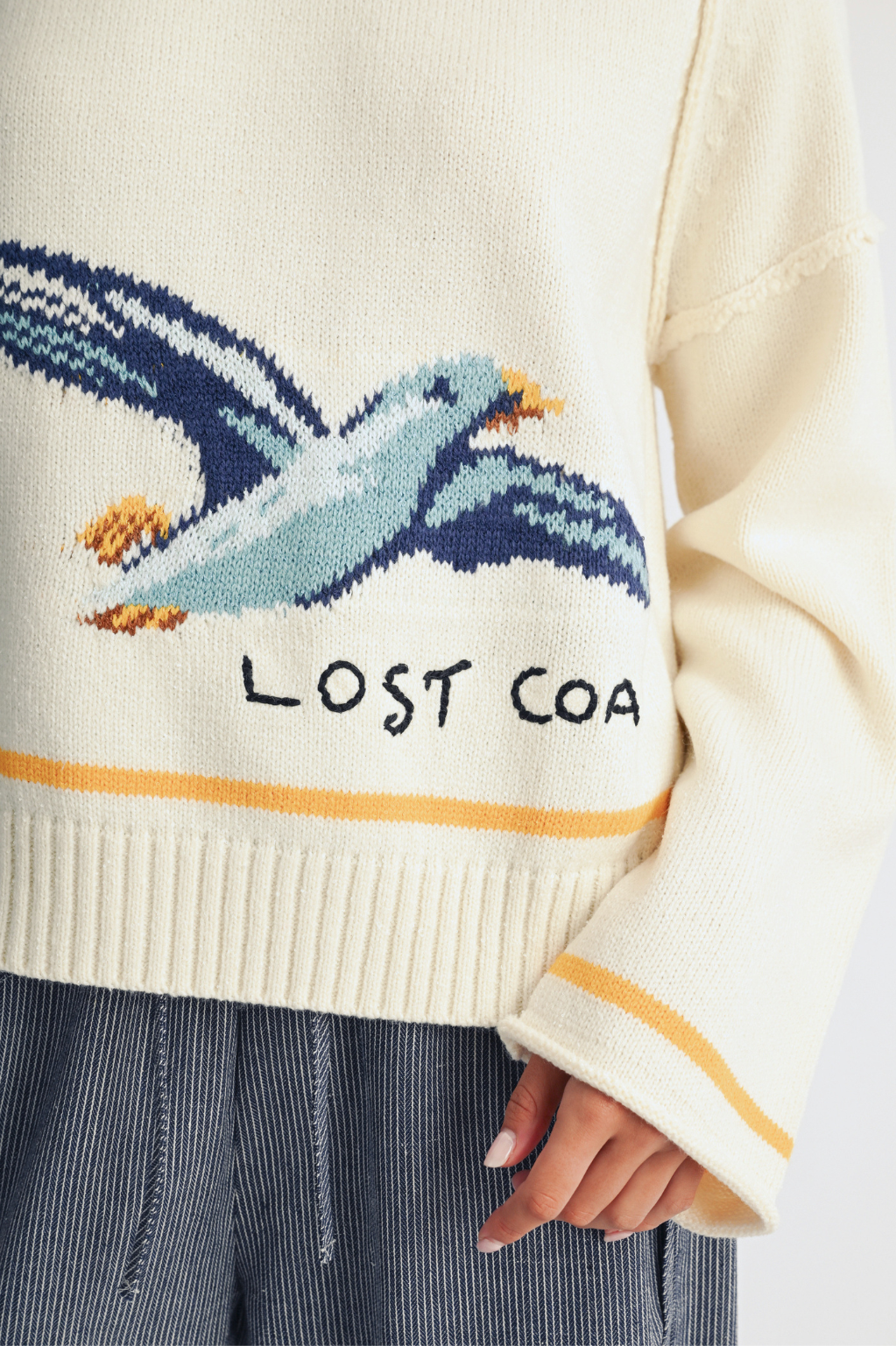 AEMI + CO - Coastal Seagull Graphic Sweater