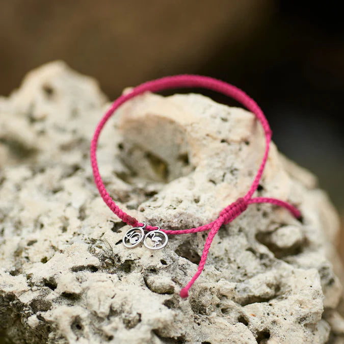 4Ocean Flamingo Braided Bracelet 2