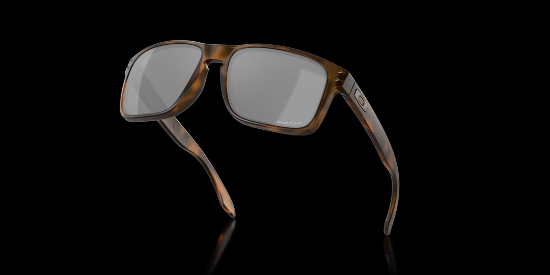 Holbrook Matte Brown Tortoise w/ Prizm Black
