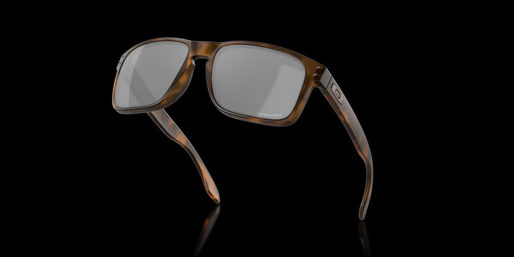 Holbrook Matte Brown Tortoise w/ Prizm Black