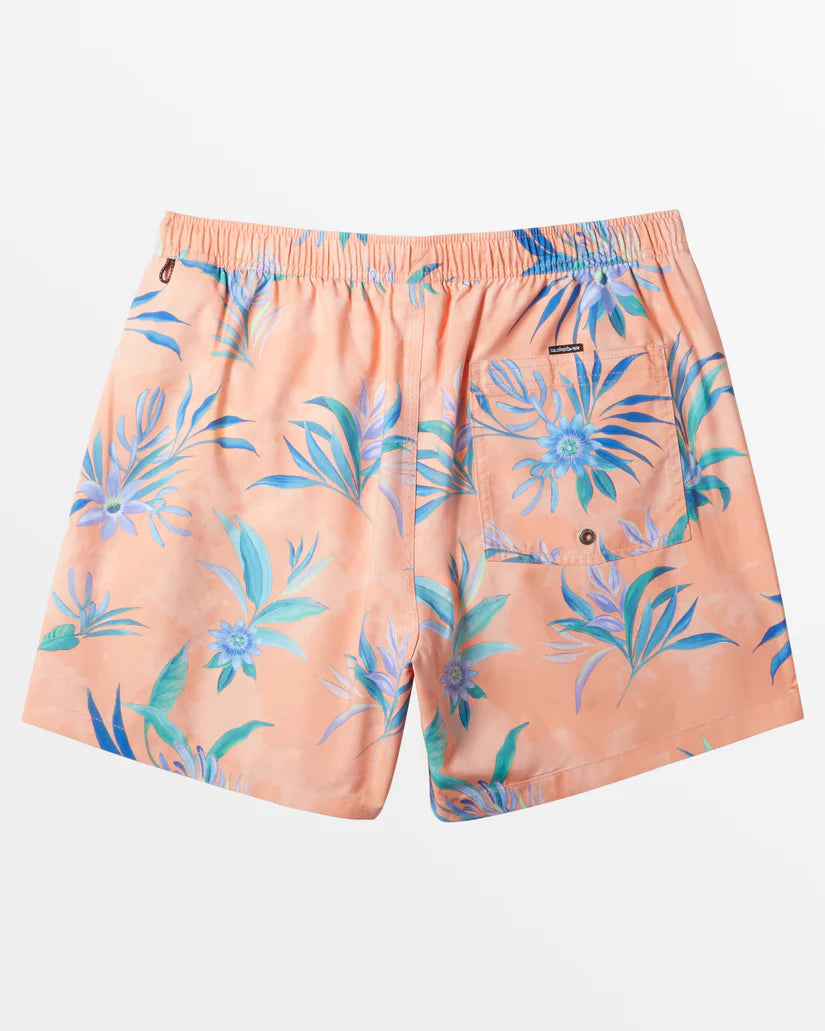 Quiksilver Men's Everyday Mix Volley 17" Short