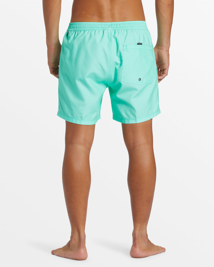 Quiksilver Men's Everyday Solid Volley Short 15 FINAL SALE