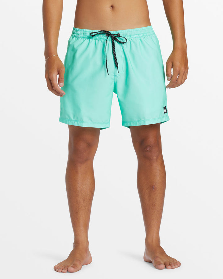 Quiksilver Men's Everyday Solid Volley Short 15 FINAL SALE