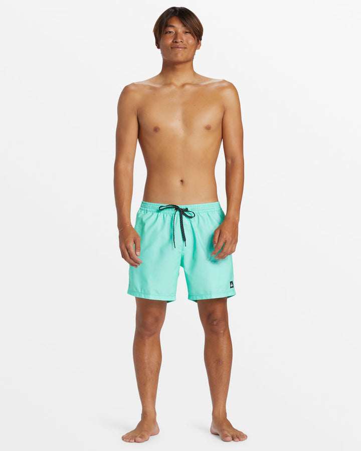 Quiksilver Men's Everyday Solid Volley Short 15 FINAL SALE