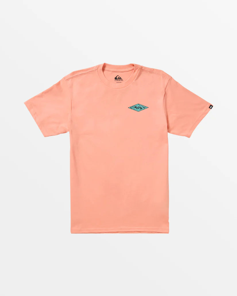 Quiksilver Men's Fossilized Tee | SoHa Surf Shop