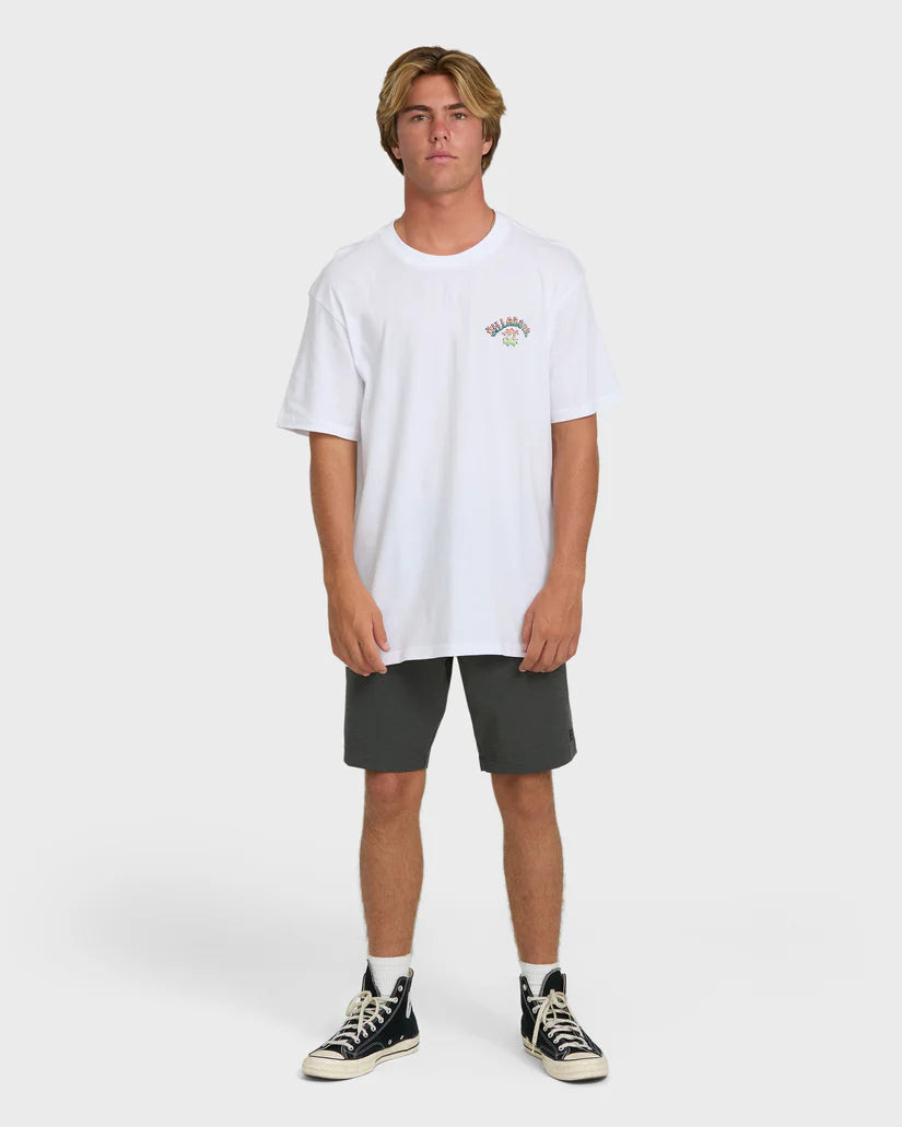 Billabong Men’s Nanda Ormond Occy Premium Tee - White 3