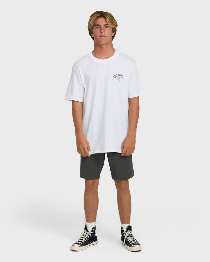 Billabong Men’s Nanda Ormond Occy Premium Tee - White 3