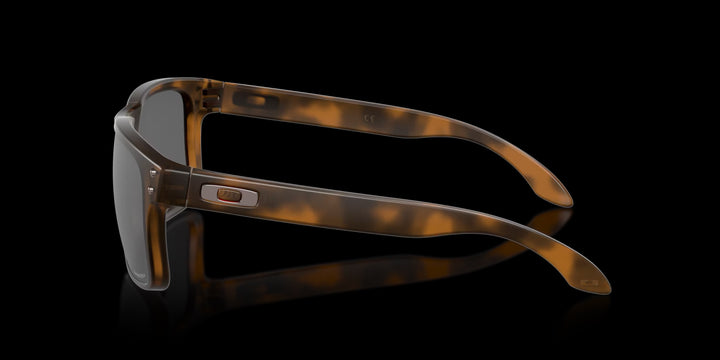 Holbrook Matte Brown Tortoise w/ Prizm Black