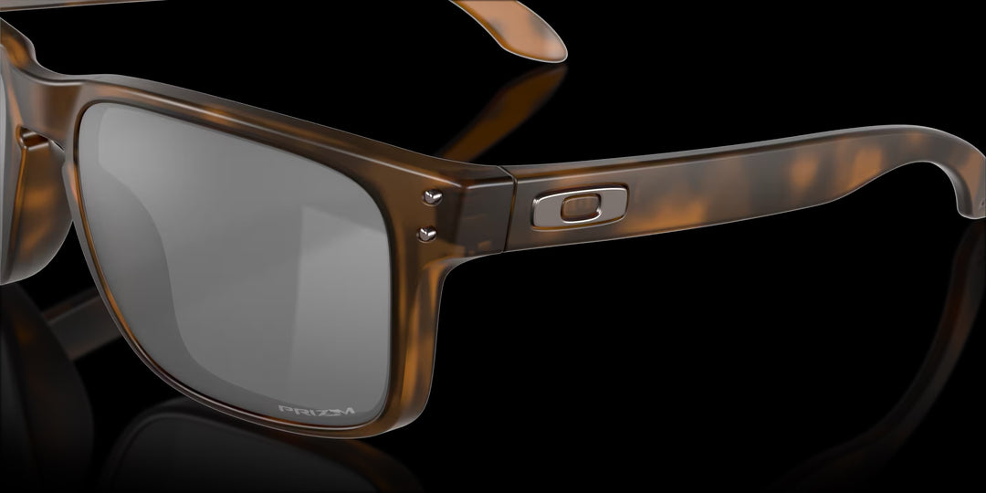 Holbrook Matte Brown Tortoise w/ Prizm Black