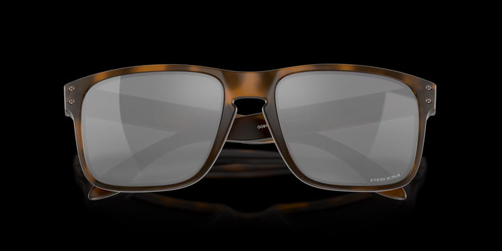 Holbrook Matte Brown Tortoise w/ Prizm Black