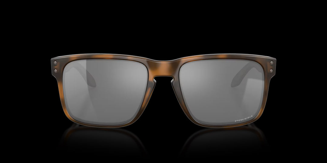 Holbrook Matte Brown Tortoise w/ Prizm Black