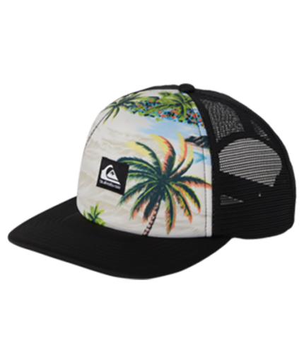 Quiksilver Men's Emu Coop Hat