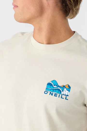 Oneill Men's Sundown Standard Fit Tee