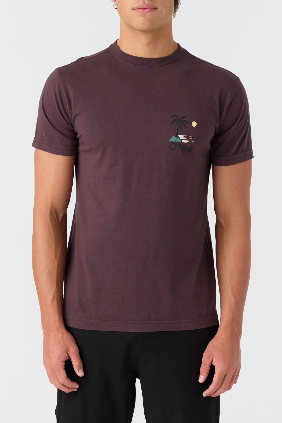 Oneill O'Riginals Palm Island Tee | SoHa Surf Shop