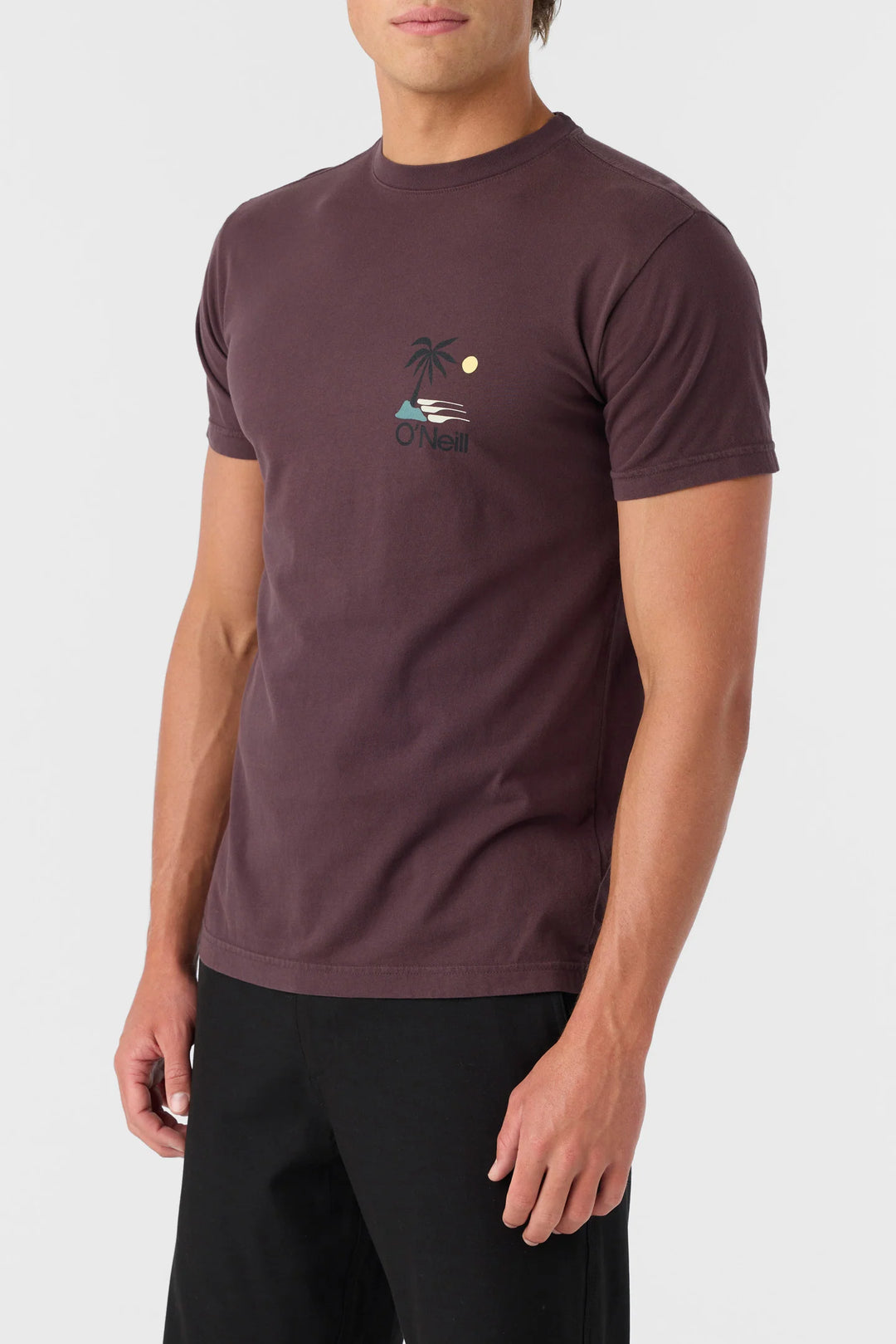 Oneill O'Riginals Palm Island Tee | SoHa Surf Shop