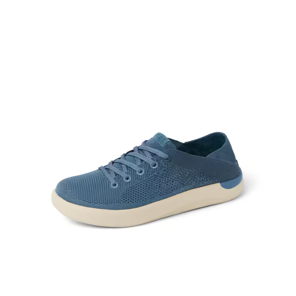 Reef Mens Swellsole Neptune Shoe Navy Fade Top View