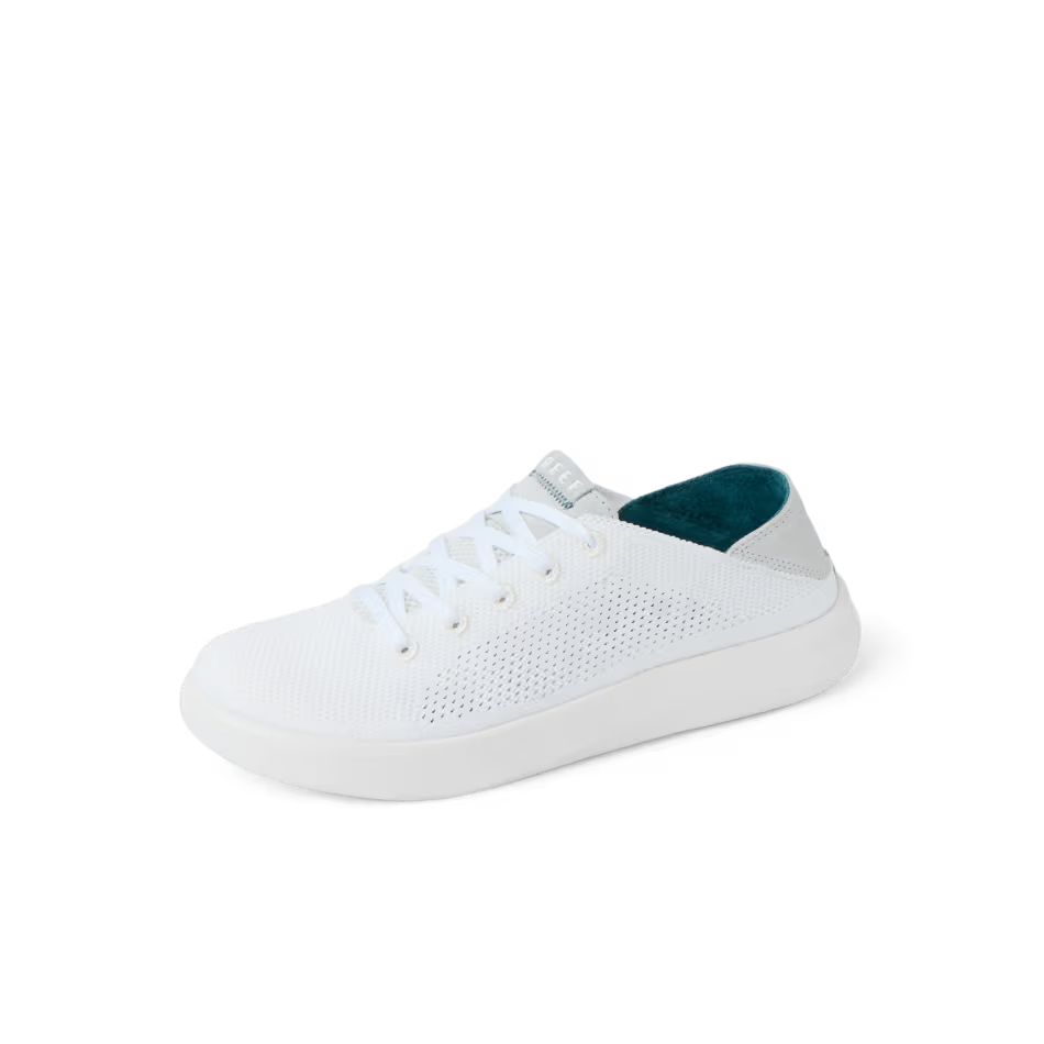 Reef Mens Swellsole Neptune Shoe Blanc De Blanc Grey Top View