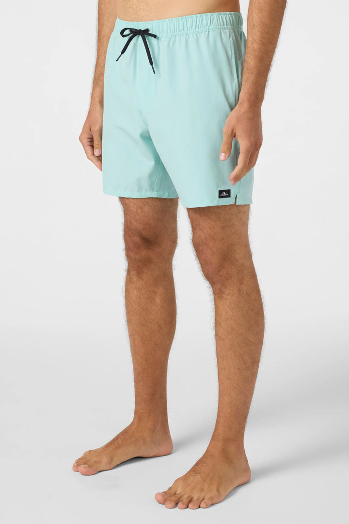 Oneill Men's Lennox Hermosa Volley 17" Boardshort - Pastel Turquoise 2