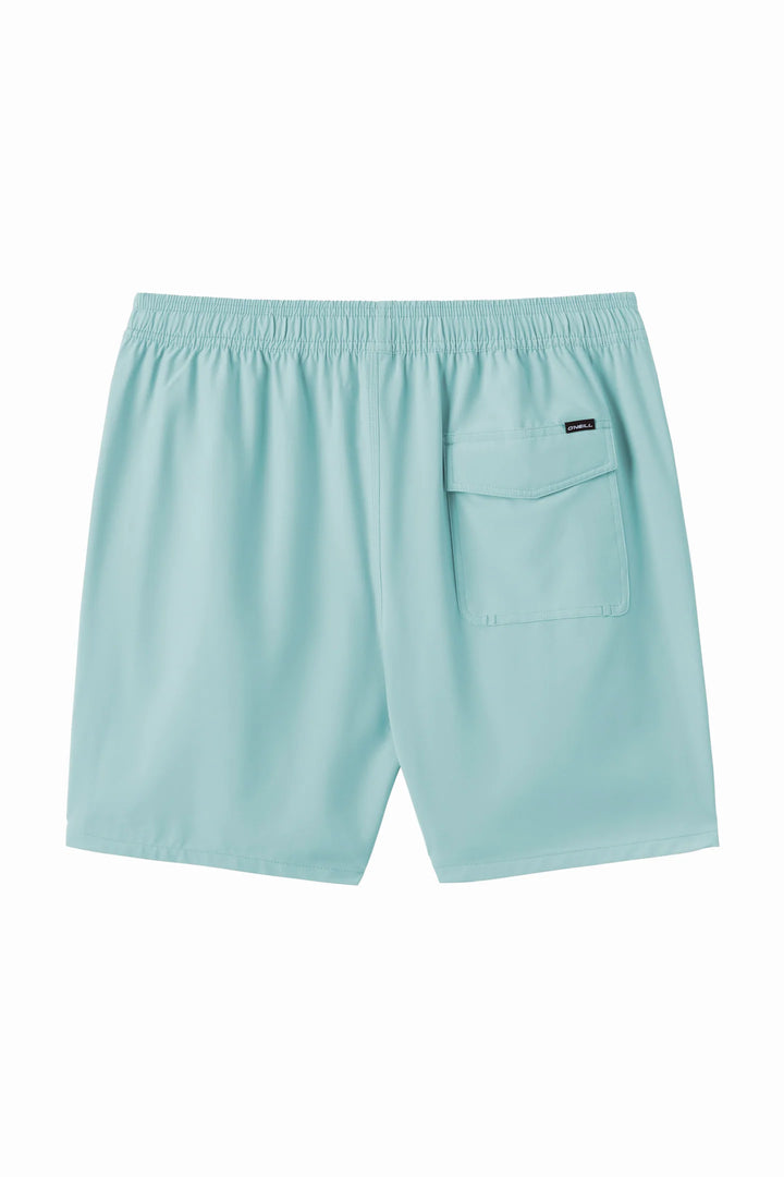 Oneill Men's Lennox Hermosa Volley 17" Boardshort - Pastel Turquoise 7