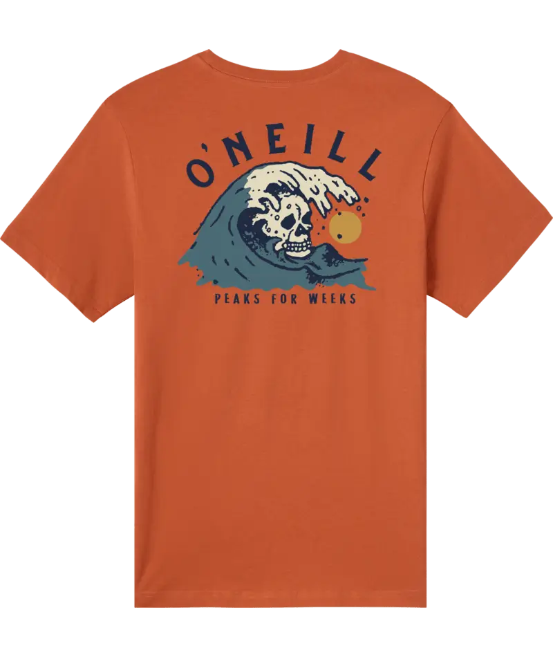 O'Neill Sesh Short Sleeve Classic Tee Chutney Detail View