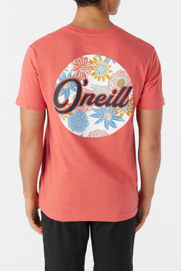 Oneill Men's Combo Tee