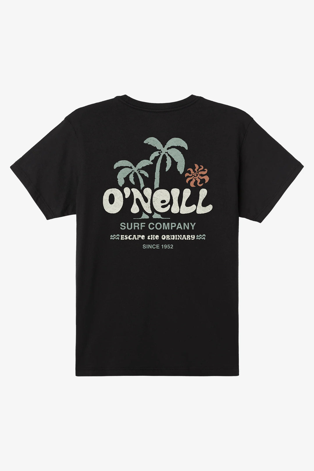 Oneill Men's Loose Standard Tee - Black 