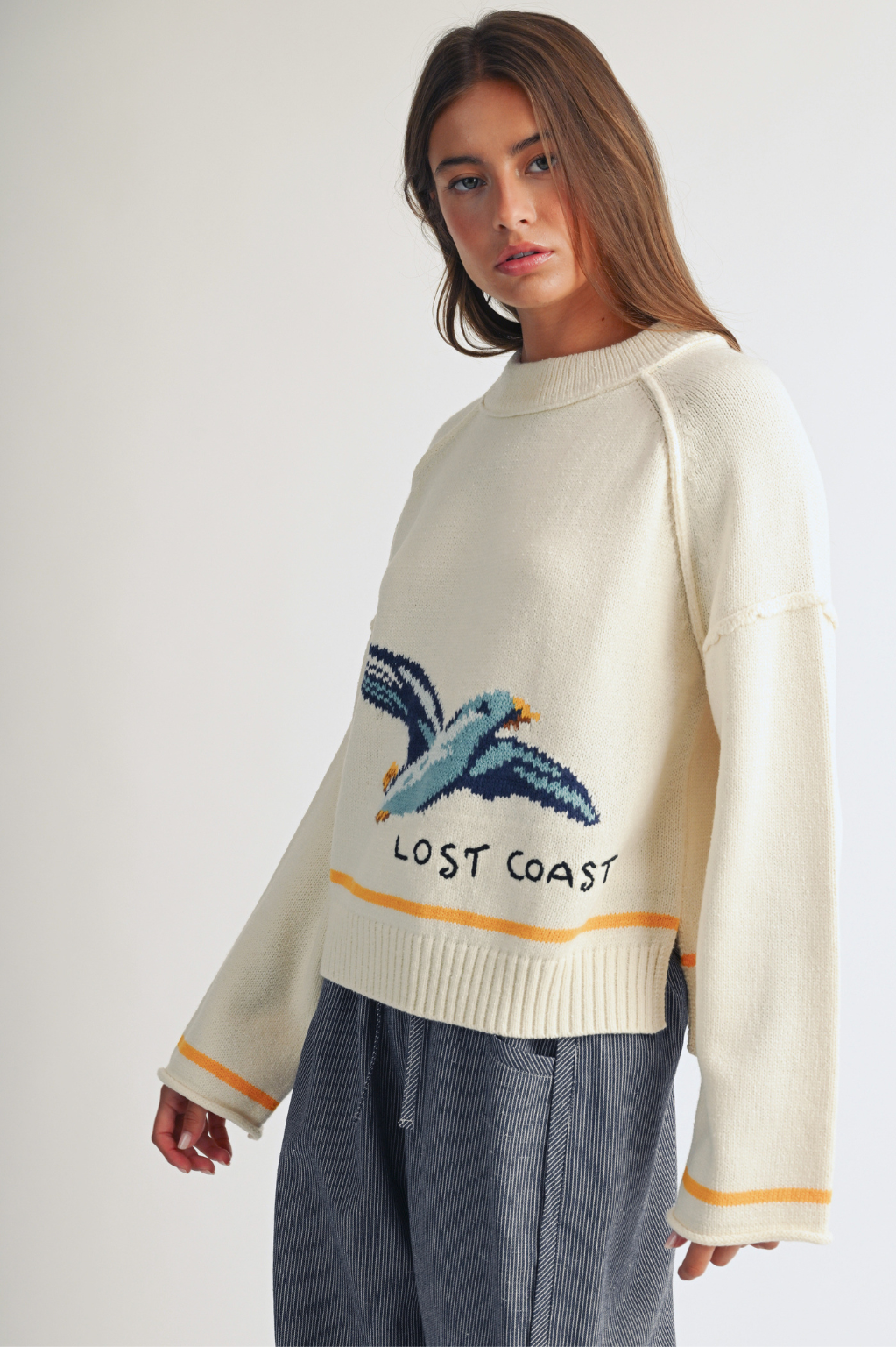 AEMI + CO - Coastal Seagull Graphic Sweater