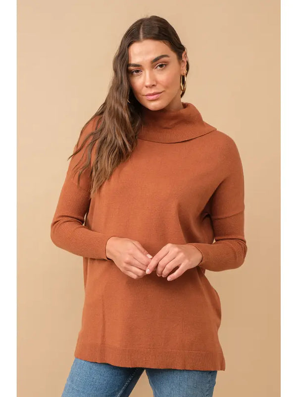 Soft Knit Turtleneck Pullover Sweater