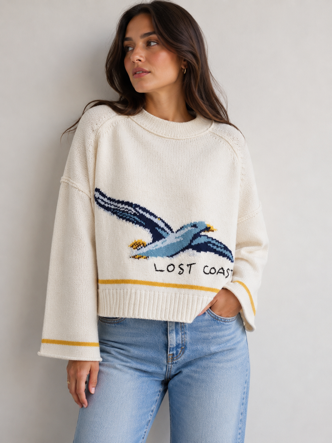 AEMI + CO - Coastal Seagull Graphic Sweater